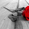 MsGlam710 avatar