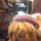 Crown Beads 