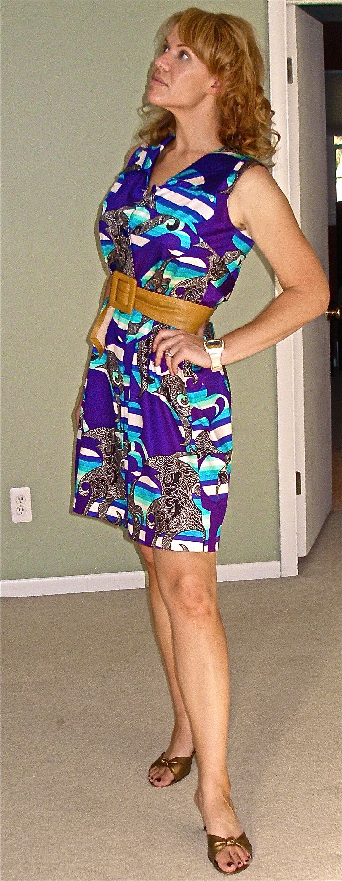 Ready to Shimmy and Shake!