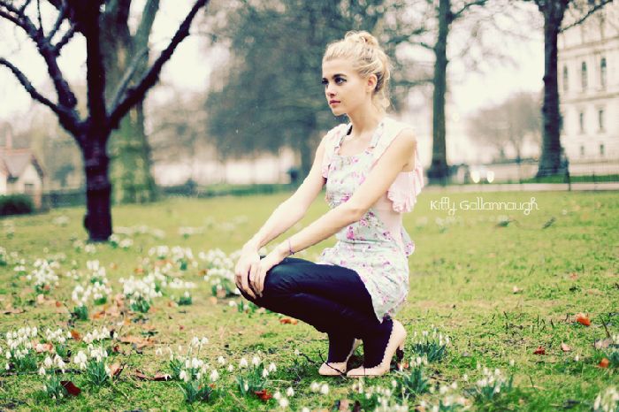 Snowdrops